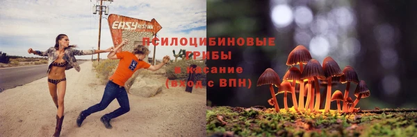 МДМА Богданович