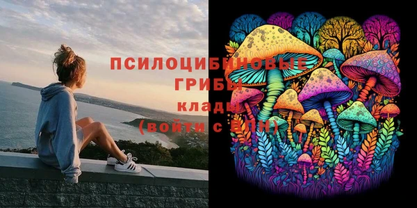 МДМА Богданович