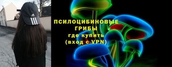 бошки Богородск