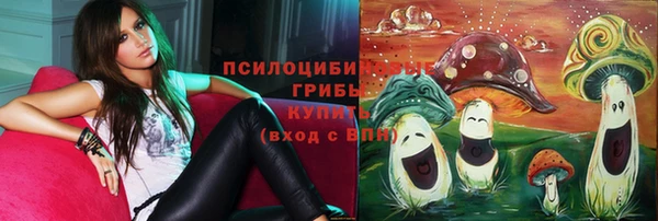 дурь Богородицк